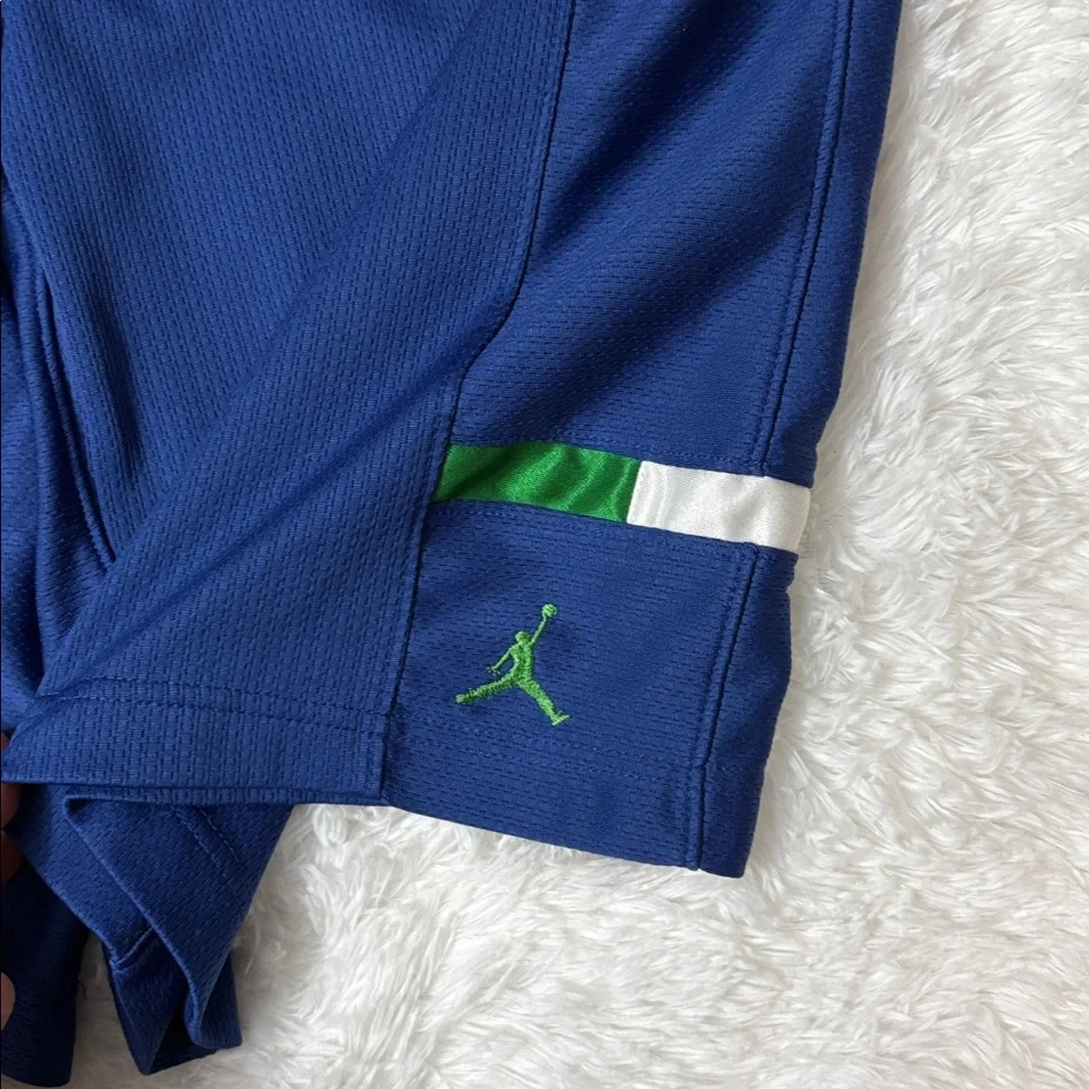 Jordan Dri-Fit Blue Shorts Men’s Size S